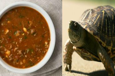 Kacchoparer Mangsho rannar receipe || Turtle meat cooking receipe ||  Sister Village Food