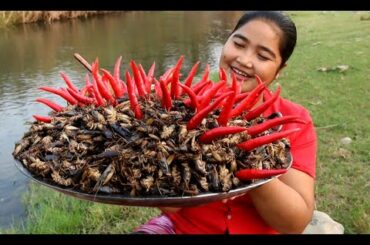 Cooking Crickets fry with chili recipe  & Cooking life