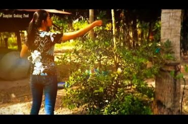 រៀនធ្វើជាសាច់រឿង Cooking Bamboo Shoots with Chili in my Village | Samphos Cooking Food