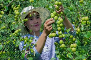 Easy & Yummy Big Jujube Fruit with Salt and Chili Recipe - Natural Life Cooking