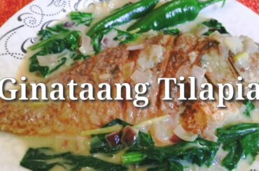 Ginataang Tilapia | Ginataang Tilapya | Pinoy Recipe | How to cook easy dish
