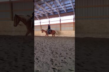 Chili Cheese Whiz Left