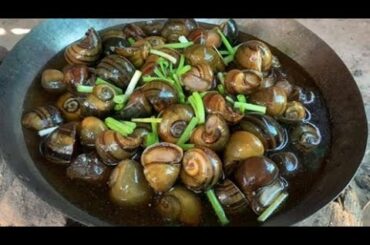 Cooking Snail bbq eat with Chili Sauce - Collect Snail in river cook for food