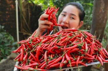 Hot Spicy Red Chili Cooking - Chili Past And Chili Sauce Homemade From Red Chili - Cooking With Sros