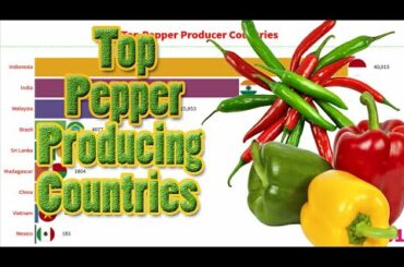 Top Largest Chili Pepper Producer Countries