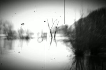 Damn Chili -Escaping