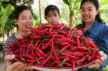 Yummy Chili Paste with Steamed Chicken Recipes / How to Cook Chili as Sauce for Meat