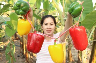 Cooking Fresh Bell Pepper With Beef Recipe - Stir Fry Beef Cooking - Khmer Food TV
