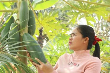 Fine Papaya In My Homeland Prepare Papaya Salad Recipe -  Papaya Salad Delicious -  Khmer Food TV