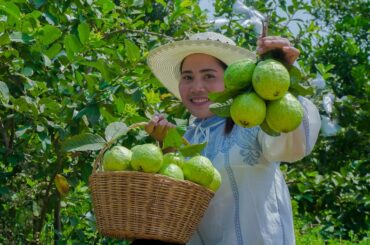 Tasty Fresh Guava Fruit with Chili Salt - Guava Fruit Pickle Recipe