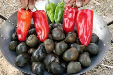 Spicy Snail Recipe / Yummy River Snail Fried Chili