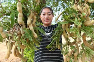 Tamarind Chili Salt Eating - Eating Tamarind - Simple Life Cooking