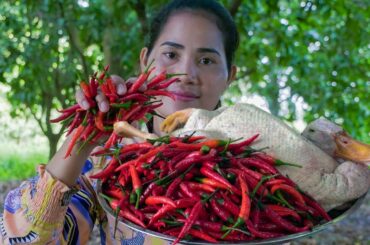 Tasty Roasted Spicy Whole Duck with Coca-Cola - Duck Cooking Recipes