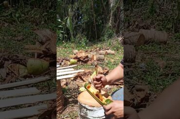 Hot chili with delicious bbq so tasty