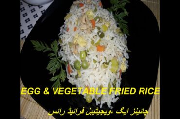Egg Fried Rice Recipe/ویجیٹیبل ایگ فرائیڈ رائس /Homemade chicken,egg, vegetable rice by Food Segment
