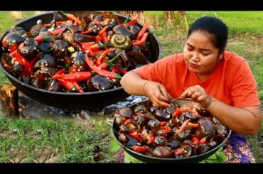 Find and Cooking snail with Coconut and chili - Cooking snail Eating delicious - Cooking skill