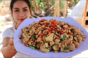 Chicken stir-fry with chili recipe - Natural Life TV Cooking