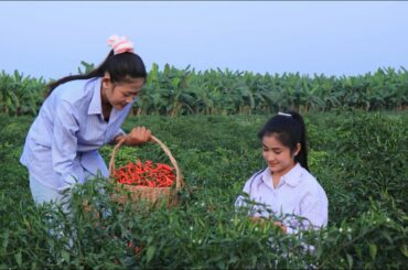 How To Make Chilli Powder - Deep fried Fish Recipe - Prepare By Countryside Life TV.