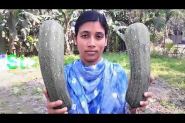 Spicy Squash Recipe | Healthy Food Squash Curry Recipe Cooking By Street Village Food