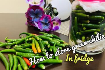 How to store green chili in fridge | Tips for storing Green Chillies