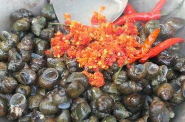 Fried Snail with Chili Recipe - Rural yummy