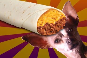 RECIPE -TACO BELL Chili Cheese Burrito