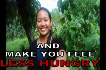 HOME GARDENING VEGETABLES  - GHOST PEPPER -  CHILI PEPPER  -