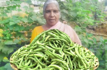 Chikkudukaya Pachadi | Board bean pickle | Nilava Pachadi | Broad Beans Recipe by Grandma