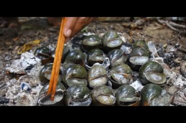 Cooking Snail eat with Chili Sauce - Collect Snail in River