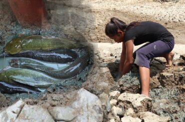 Catch the fish underground for Lunch - Grilled fish and Chili sauce for Eating delicious