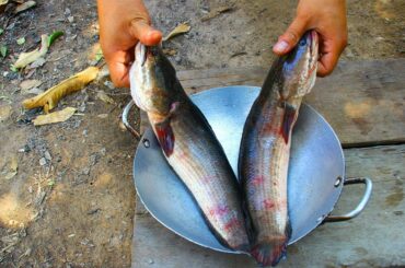 Cook Fish bbq eat with Chili Sauce n Salad - grilled fish in pan