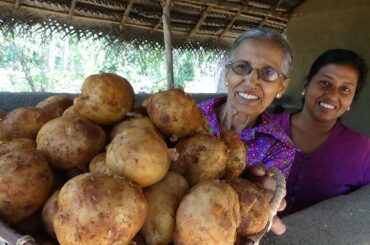 Chilli Potato Recipe by Grandma and Daughter ❤ Village Life