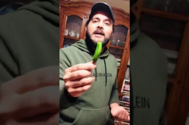 Hot Mexican spicy chili 🌶 experiment