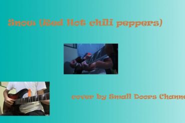 Snow(Red Hot chili peppers) cover by Small Door Channel