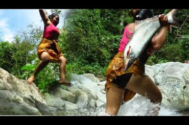 Tasty Cooking  BBQ  big fish  with chili  Recipe -  Cooking BBQ   fish  for food