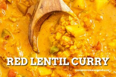 Red Lentil Curry - Chili Pepper Madness