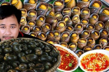 Yummy Cook Snail with Hot Spicy Chili recipe and eating delicious