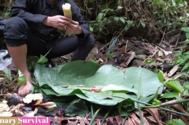 Very delicious grilled shoots with salt and chili | Culinary Survival