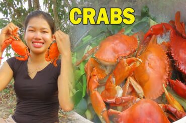 Cooking Crab Curry with Spicy Chili in The Forest - Yummy Mud Crab Cooking