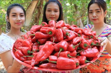 Chili salad with baby cucumber and bean sprout recipe