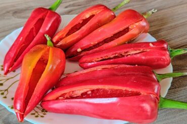 Bharela Lal Marcha Recipe || Bharela Red Chili Sabji || ભરેલા લાલ મરચાં નુ શાક ગુજરાતી રેસિપી