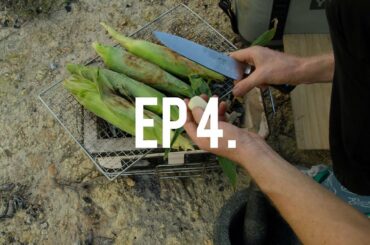 Ep 4. How to cook Grilled Corn with Chili, lemon & lime butter & an easy little finger lime salsa