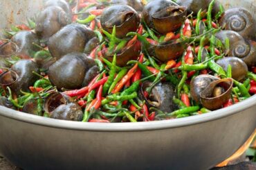 Cooking Big snail with chili  Recipe - Eating Delicious By village