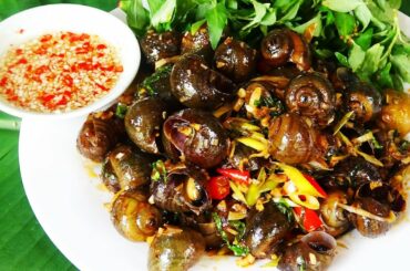 Stir-fried Snail with Lemongrass & Chili Recipe/Ốc Xào Sả Ớt cay cay ngon ngon!