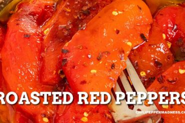 Chili Pepper Madness - Chili Pepper Recipes and More