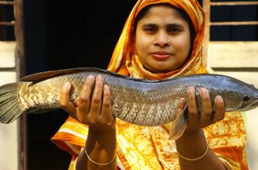 Village Food | Big Shol Macher Kosha Recipe | Traditional Fish Curry