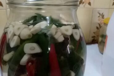 Ginger,garlic,chili,and venigar recipe for  weight loss.