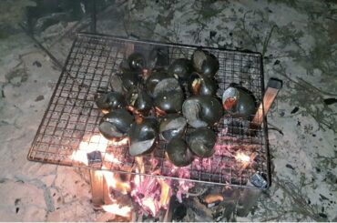 Roasted snail With chili and fish sauce farmer food