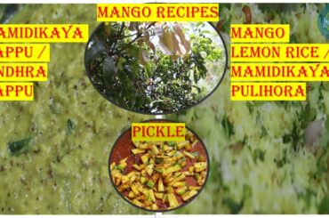 Mango Recipes: Andhra Pappu | Mamidikaya Pappu | Mango Rice | Mamidikaya Pulihora | Mango Pickle|MSK