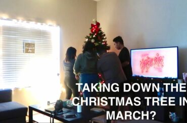 Taking Down the Christmas Tree in March? • Cooking Chili with Zyra • Living in Las Vegas Vlog 4